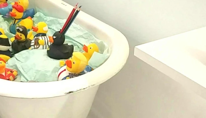 Lisbon Duck Store -  Aberto Agora - Lisboa
