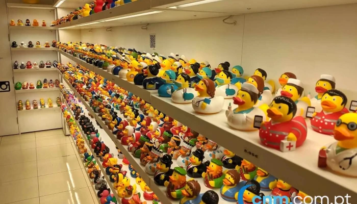 Lisbon Duck Store -  Tudo - Lisboa