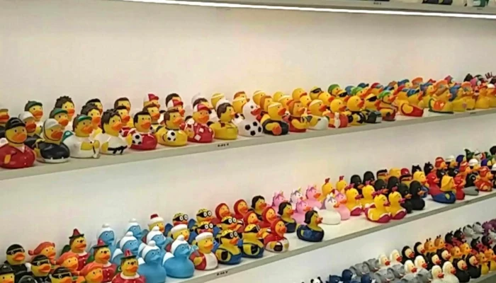 Lisbon Duck Store -  Videos - Lisboa