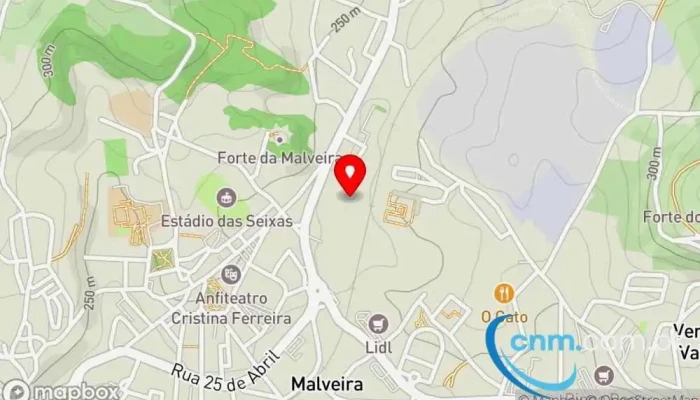 Little Bean -  Mapa - Malveira