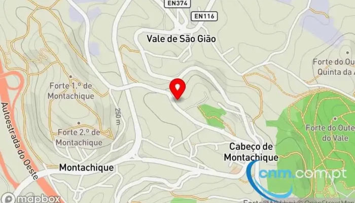 Little Pea -  Mapa - Milharado