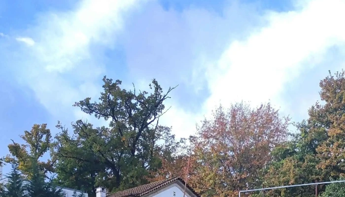 Loja Ctt -  Correios - Boticas