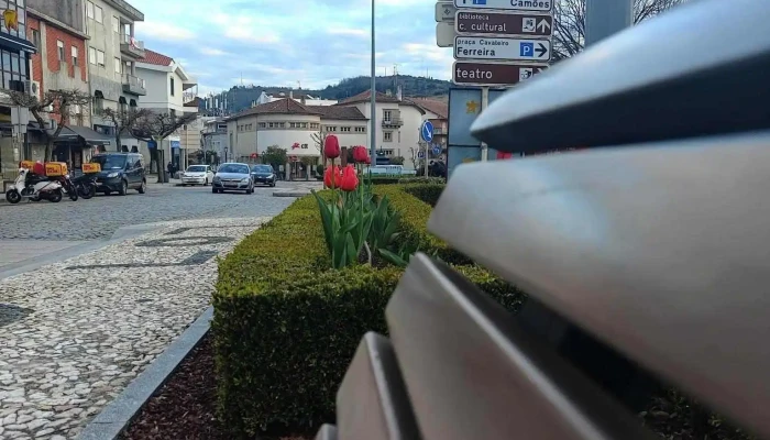 Loja Ctt -  Mais Recentes - Bragança