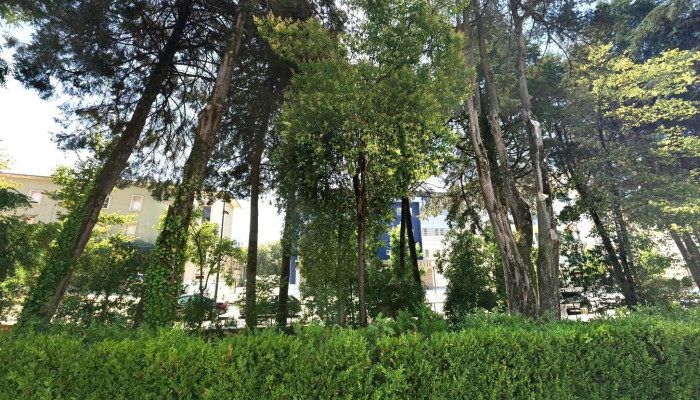 Loja Ctt -  Street View E 360deg - Fátima