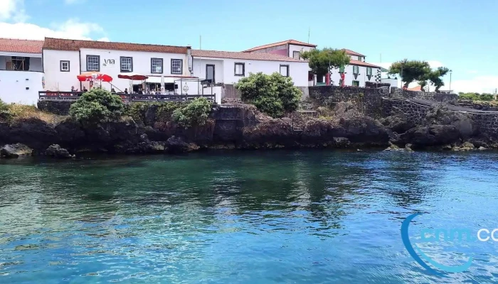 Madalena -  Tudo - Madalena
