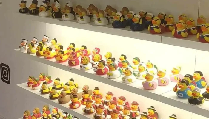Madeira Duck Store -  Interior - Funchal