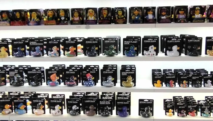 Madeira Duck Store -  Perto De Mim - Funchal