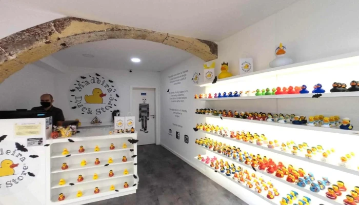 Madeira Duck Store -  Street View E 360deg - Funchal