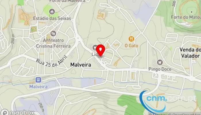 Magia Do Brinquedo -  Mapa - Malveira