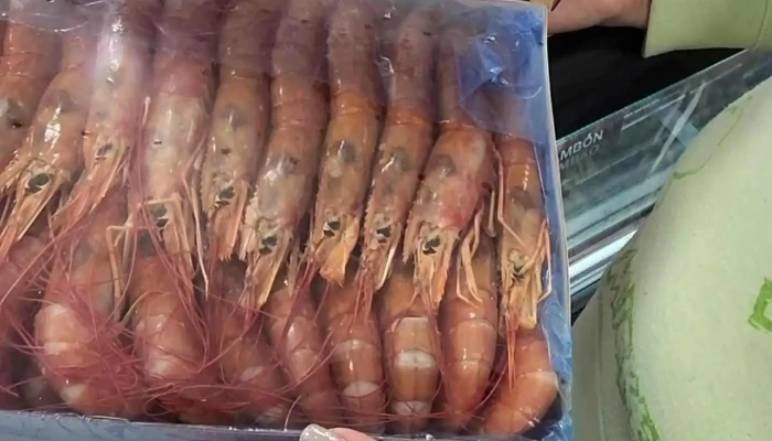 Mercadona Massama Videos - Queluz
