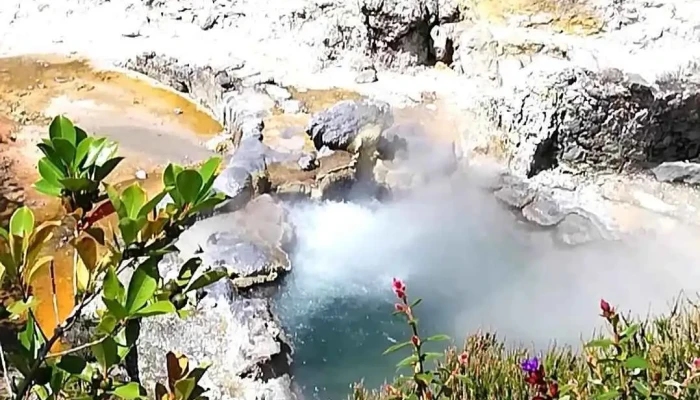 Meu Super Furnas -  Videos - Furnas