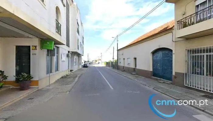 Miminhos da Jô - Fazendas De Almeirim