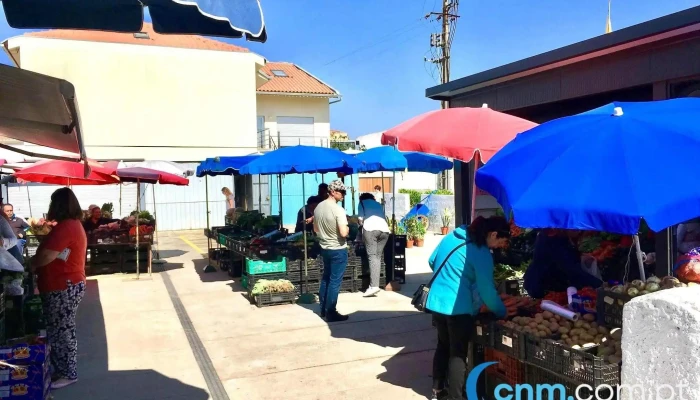 Mini mercado com produtos da terra (biológicos) - Portugal