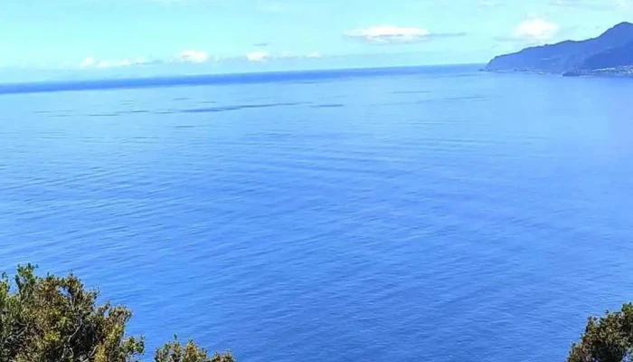 Miradouro Da Eira Da Achada -  Mais Recentes - Ribeira Da Janela