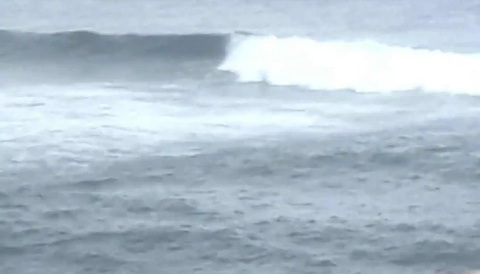 O Esgalha -  Videos - Ribeira Grande