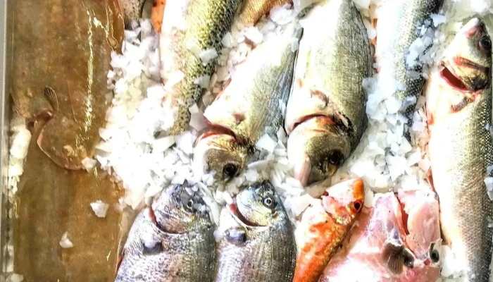 O Sacas -  Gastronomia - Zambujeira Do Mar