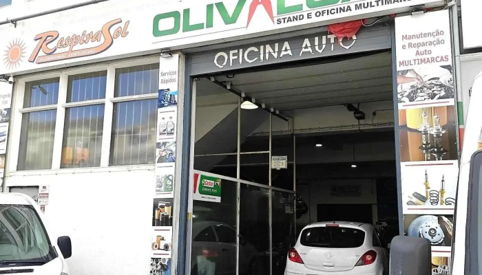 Olival Car - Olival Basto