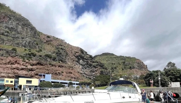 On Tales Whales And Dolphins Cruises -  Agencia De Turismo Para Observacao De Baleias - Calheta