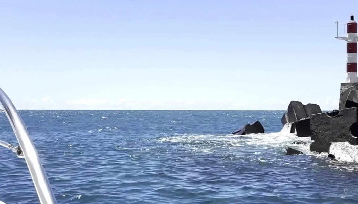 On Tales Whales And Dolphins Cruises -  Endereco - Calheta