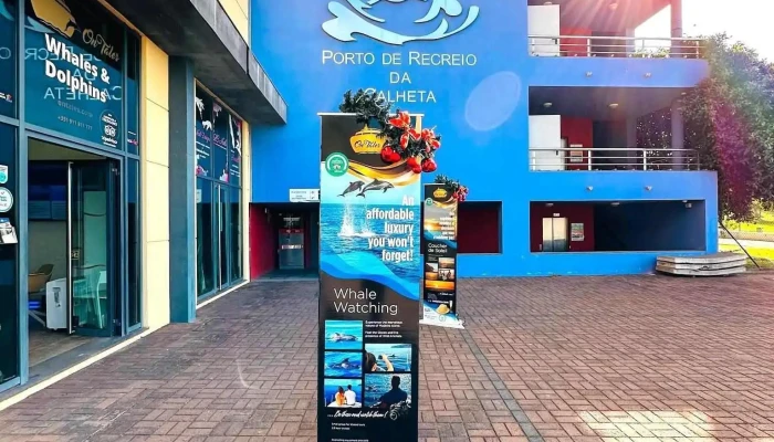 On Tales Whales And Dolphins Cruises -  Exterior - Calheta