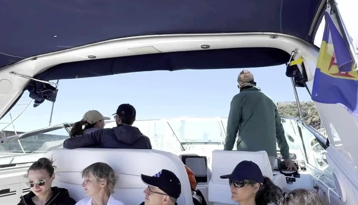 On Tales Whales And Dolphins Cruises -  Zona - Calheta