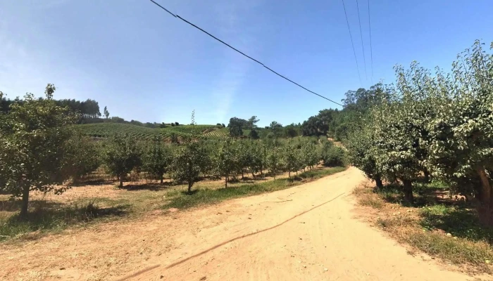 Painho -  Street View E 360deg - Painho