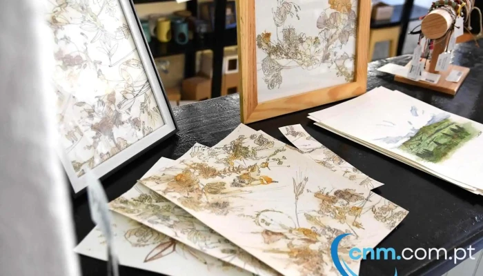 Palma -  Arte - Lajes Das Flores