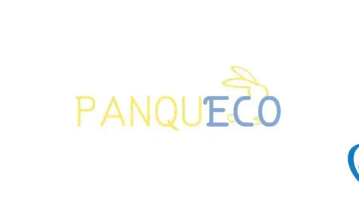 Panqueco -  Tudo - Pontinha