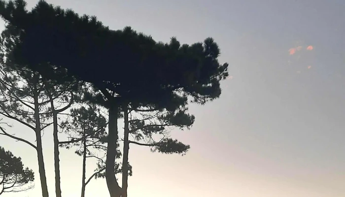 Parque De Campismo Da Madalena -  Parque - Madalena