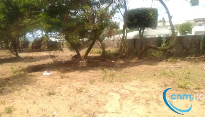 Parque De Campismo Da Madalena -  Tudo - Madalena