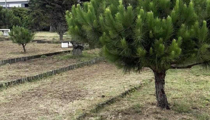 Parque De Campismo Da Madalena -  Videos - Madalena