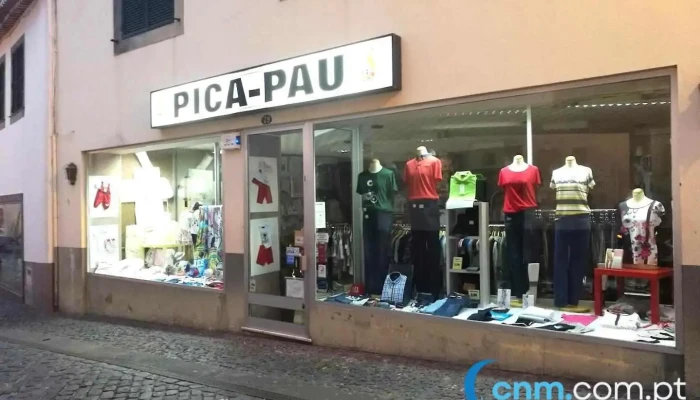 Pica-Pau - Câmara De Lobos
