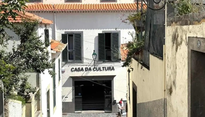 Pica -  Pau Mais Recentes - Câmara De Lobos