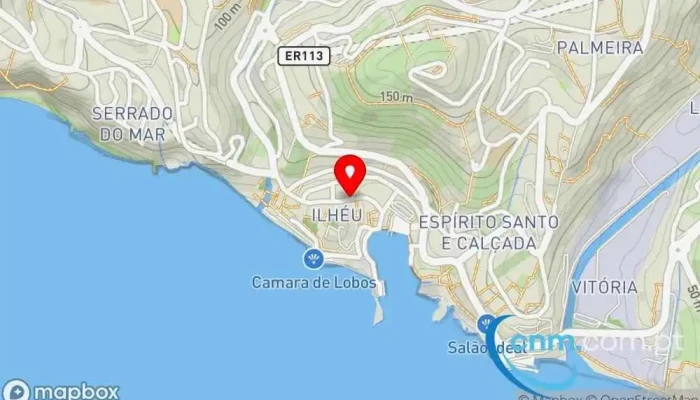 Pica -  Pau Mapa - Câmara De Lobos