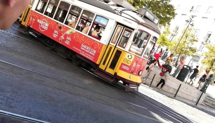 Pires Thadeu Lda Tudo - Lisboa
