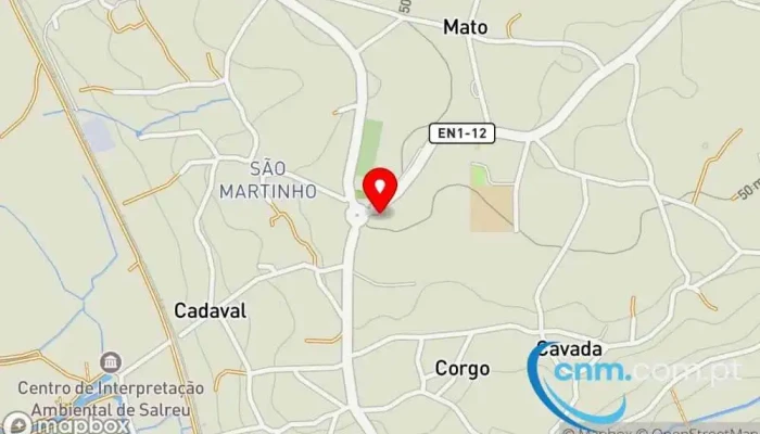 mapa de Ponto CTT Correios em Salreu