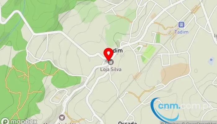Ponto Ctt -  Mapa - R. Dr. Guilherme Braga Da Cruz 2