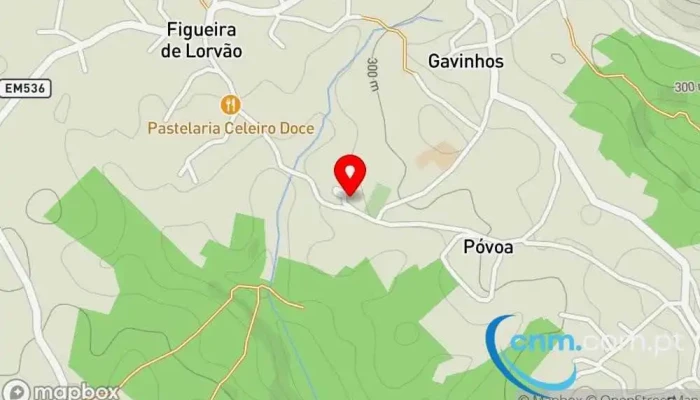 Ponto Ctt -  Mapa - Figueira De Lorvão