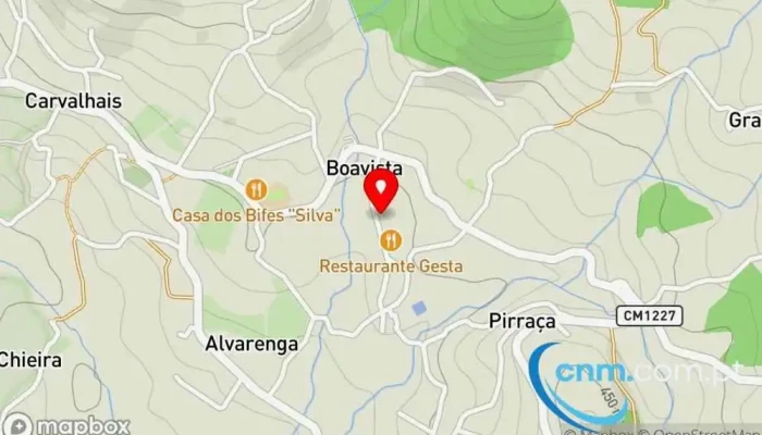 Ponto Ctt -  Mapa - Florista, Lugar De Trancoso