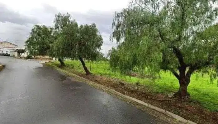 Ponto Ctt -  Tudo - Beja