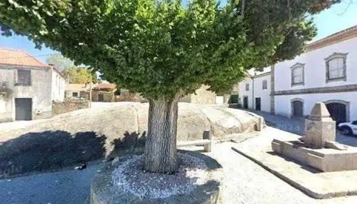 Ponto Ctt -  Tudo - Lajeosa Do Mondego