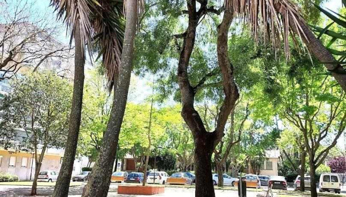 Posto de Correios da Venda Nova - Amadora