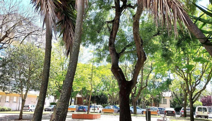 Posto De Correios Da Venda Nova -  Tudo - Amadora