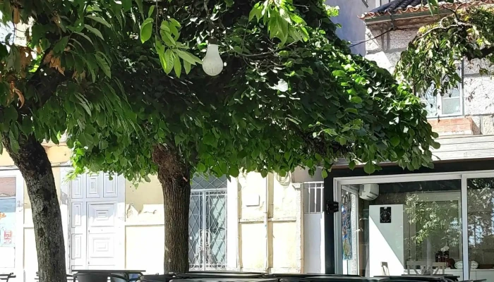 Posto De Correios De Nelas -  Videos - Nelas