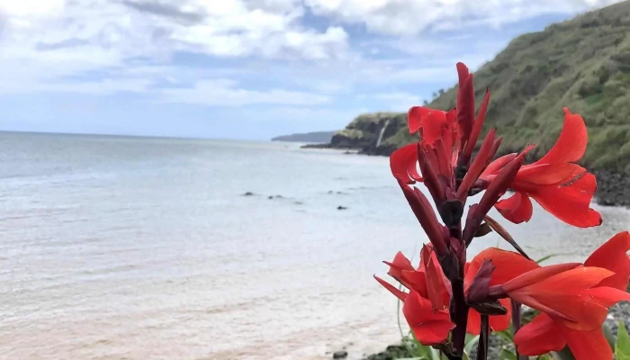 Praia Do Calhau Da Maia -  Localizacao - Maia