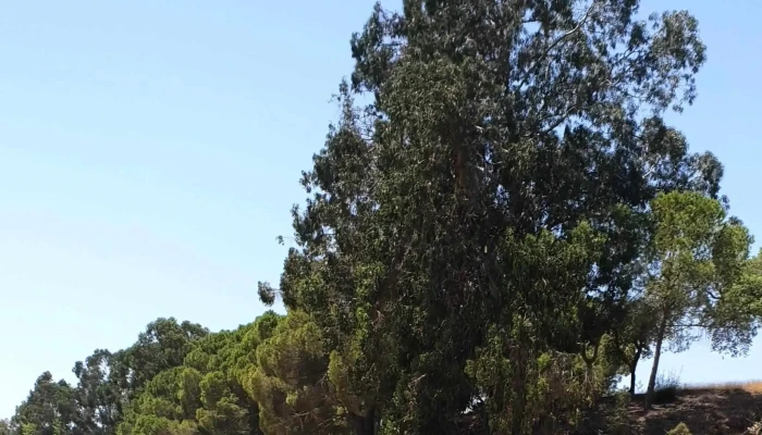 Praia Fluvial Do Pintadinho -  Videos - Montargil