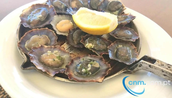 Restaurante Polo Norte -  Videos - Porto Moniz