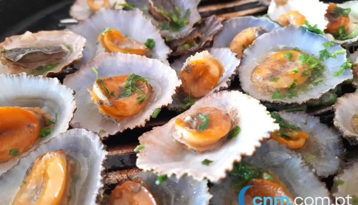 Restaurante Sao Cristovao Ostra - Boaventura