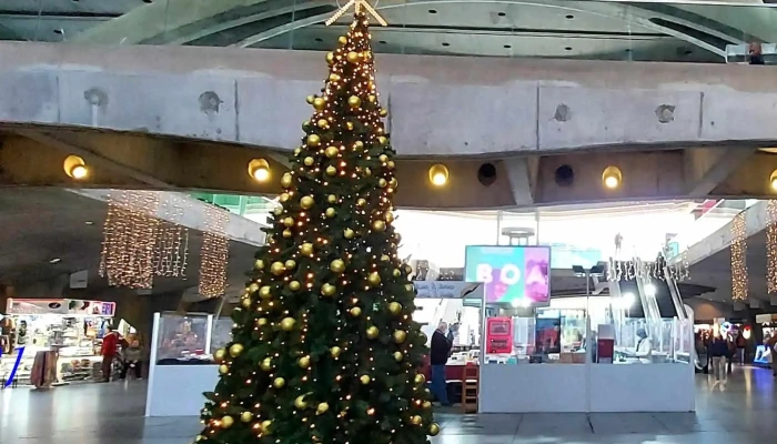 Spacio Shopping -  Endereco - Lisboa