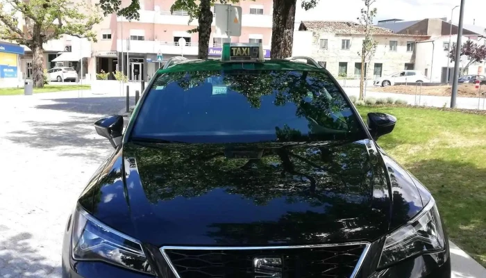 Taxis Ana Monteiro Amares Ferreiros Feira Nova Do Proprietario - Ferreiros